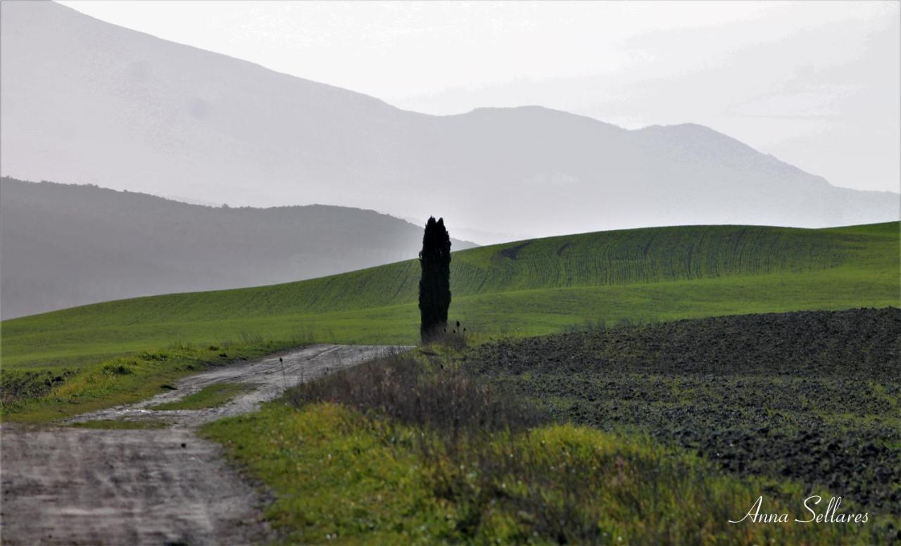 Soleluna San Quirico dʼOrcia Buitenkant foto